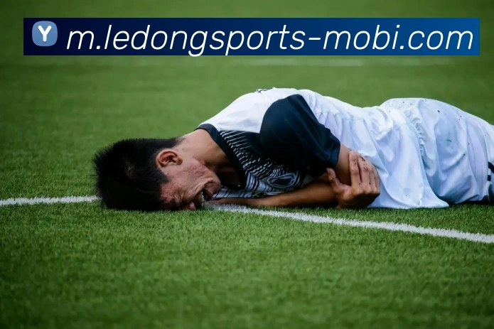 App Interface Preview